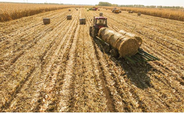 木屑顆粒機:推動鄉村發展的新引擎 木屑顆粒機:推動鄉村發展的新引擎