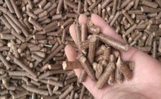 鋸末顆粒機生物質(zhì)燃料與燃煤對比情況如何？