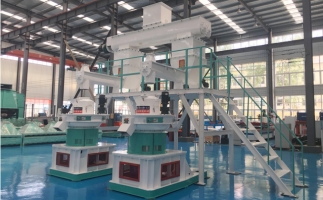 木屑顆粒機多少錢一臺?建顆粒廠大約多少錢？
