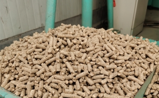 在燃燒時，水分大的生物質顆粒會出現哪些問題？