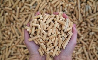 夏季儲存鋸末顆粒機生物質(zhì)顆粒的方法，要認真看喲