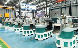 快來(lái)看看，木屑顆粒機(jī)如何將各種廢棄物料轉(zhuǎn)化為顆粒燃料的