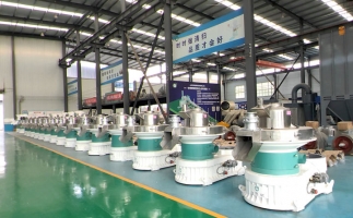 新手開顆粒廠，該選小型還是大型木屑顆粒機(jī)？