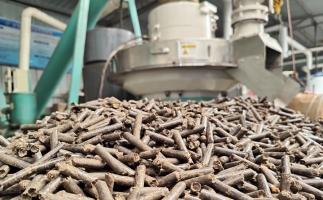 村里的廢木頭 農(nóng)作物秸稈怎么辦？有木屑顆粒機(jī)，好解決